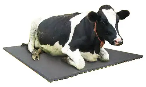 Cow Mat
